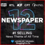 Newspaper 12 Theme